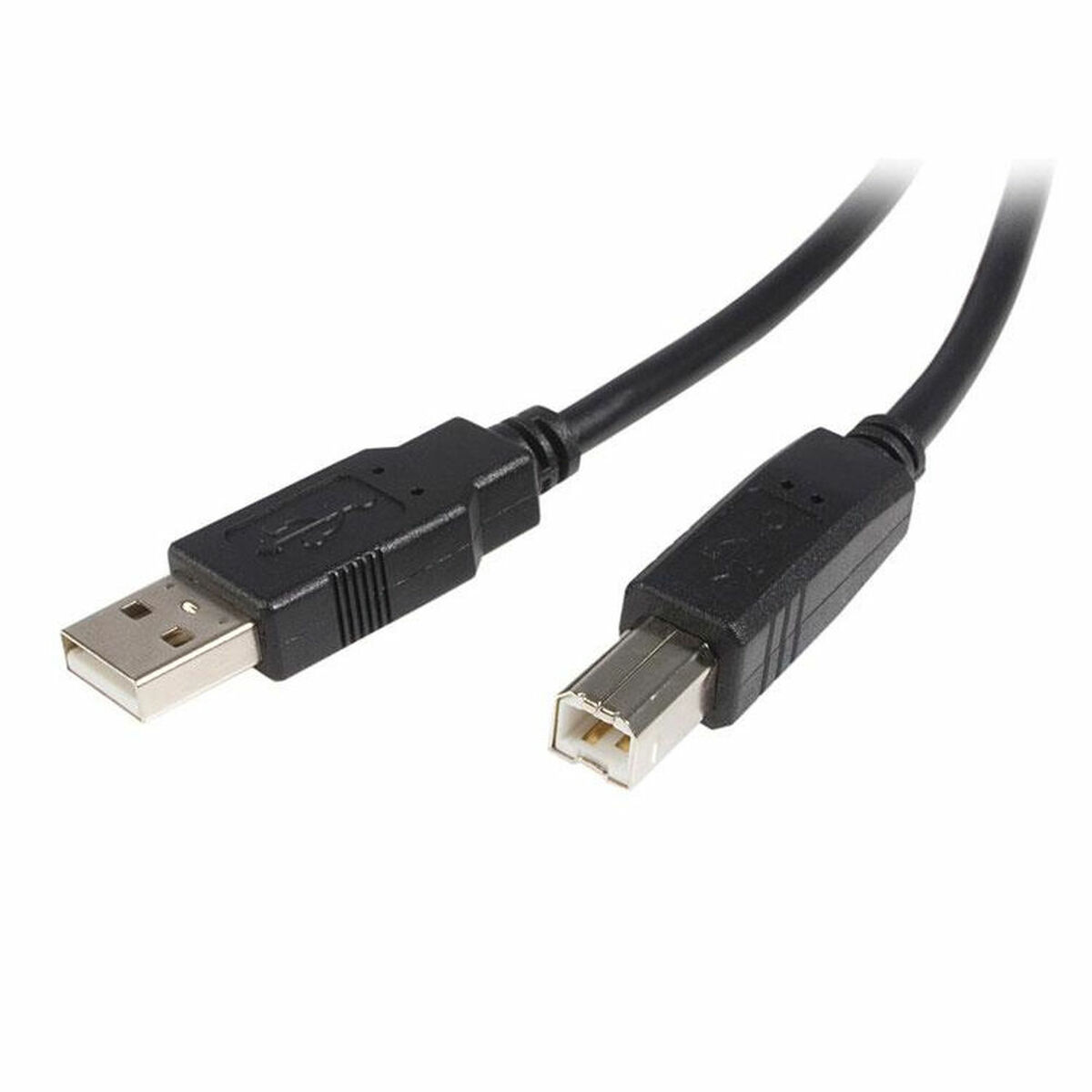 Câble USB A vers USB B Startech USB2HAB2M Noir